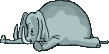 elefant